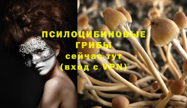 метамфетамин Белокуриха