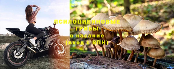 метамфетамин Белокуриха
