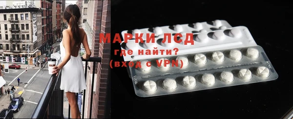 индика Приозерск