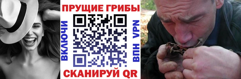 Псилоцибиновые грибы Magic Shrooms  Ужур 